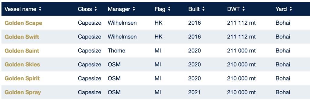 The biggest dry bulk ships in the Golden Ocean Group fleet