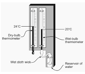 A Wet Dry Bulb Thermometer