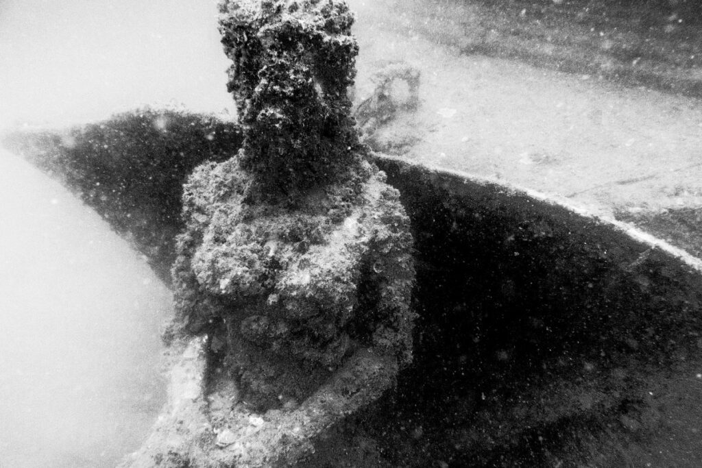 Statue underwater covered with marine growth