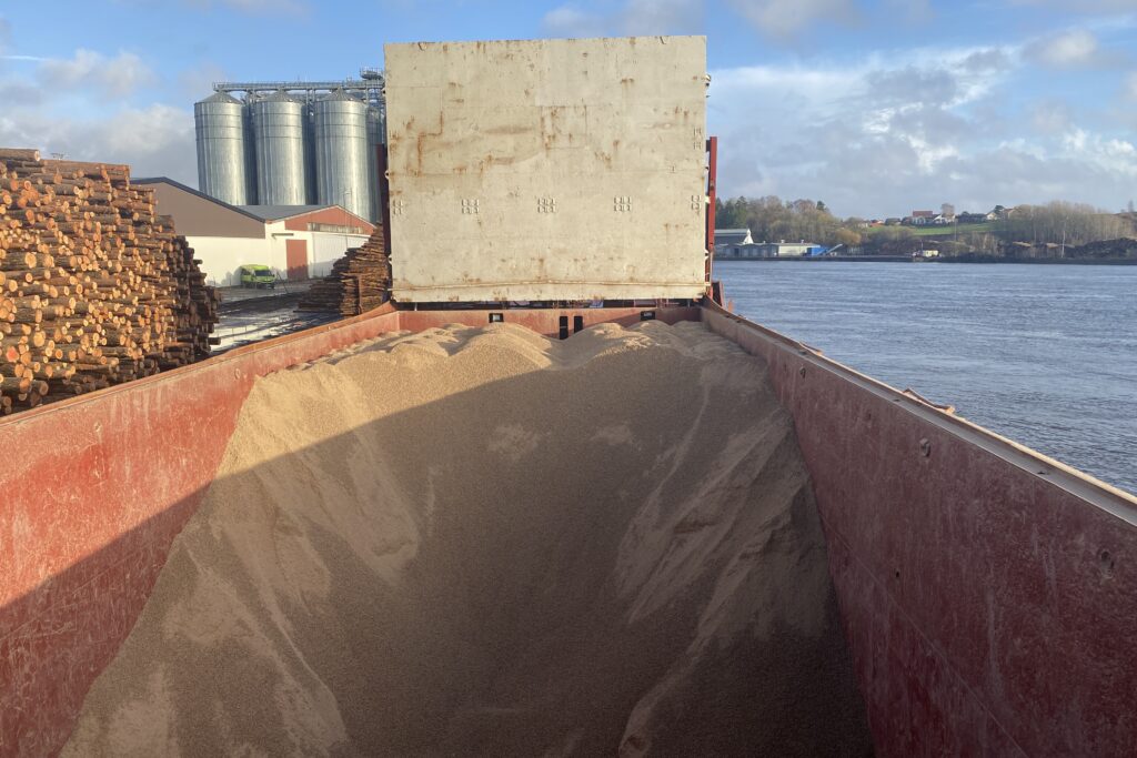 Cargo trimming performed well in the hold of a dry bulk carrier. Cargo is being discharged but leveled cargo can be clearly seen in the forward part of the hold.