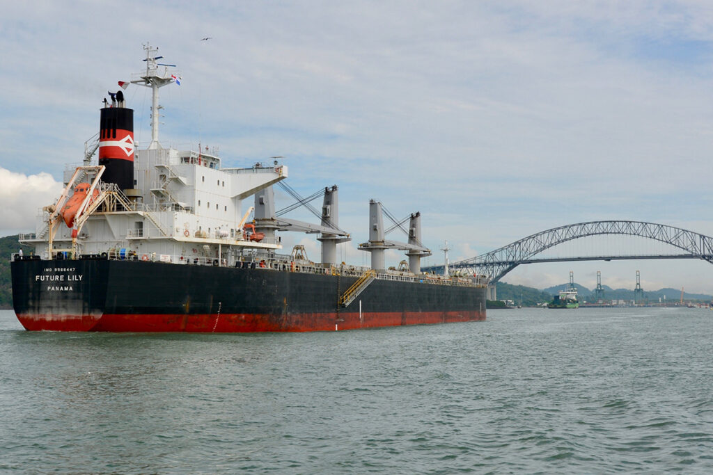 What is Supramax Bulk Carrier?