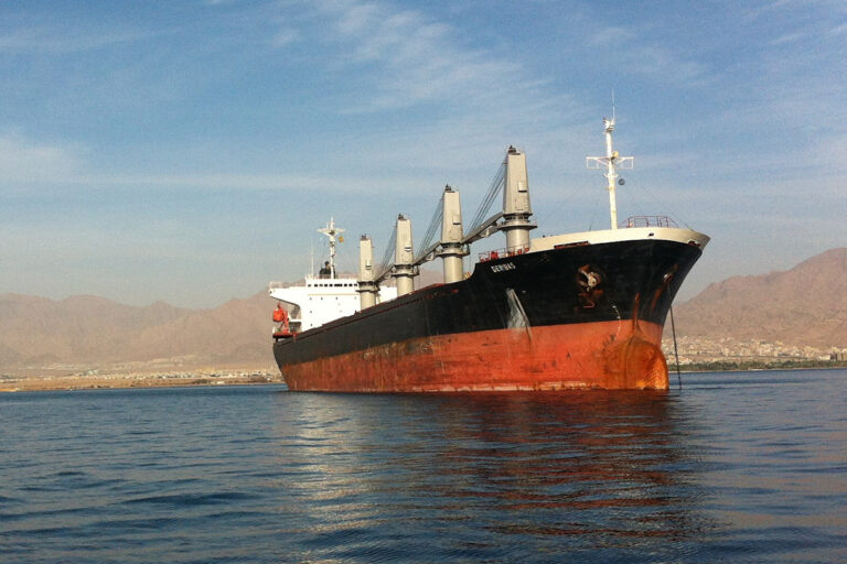 Exploring The Ultramax Bulk Carrier Dimensions, Uses & Cost