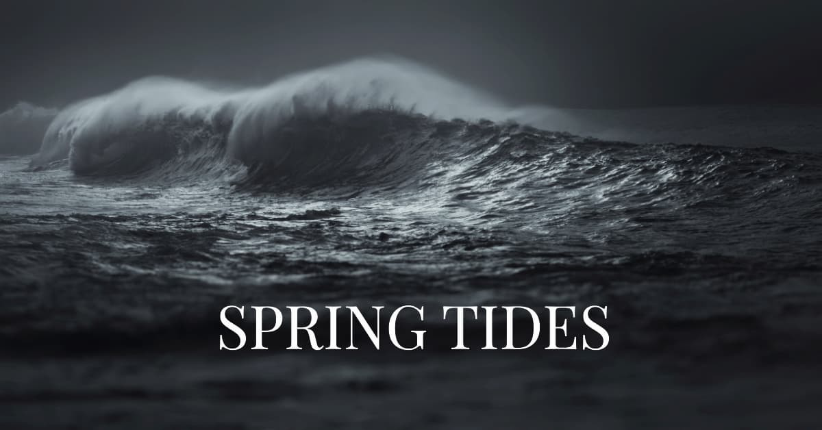 Spring Tides A Dance of Gravitational Forces