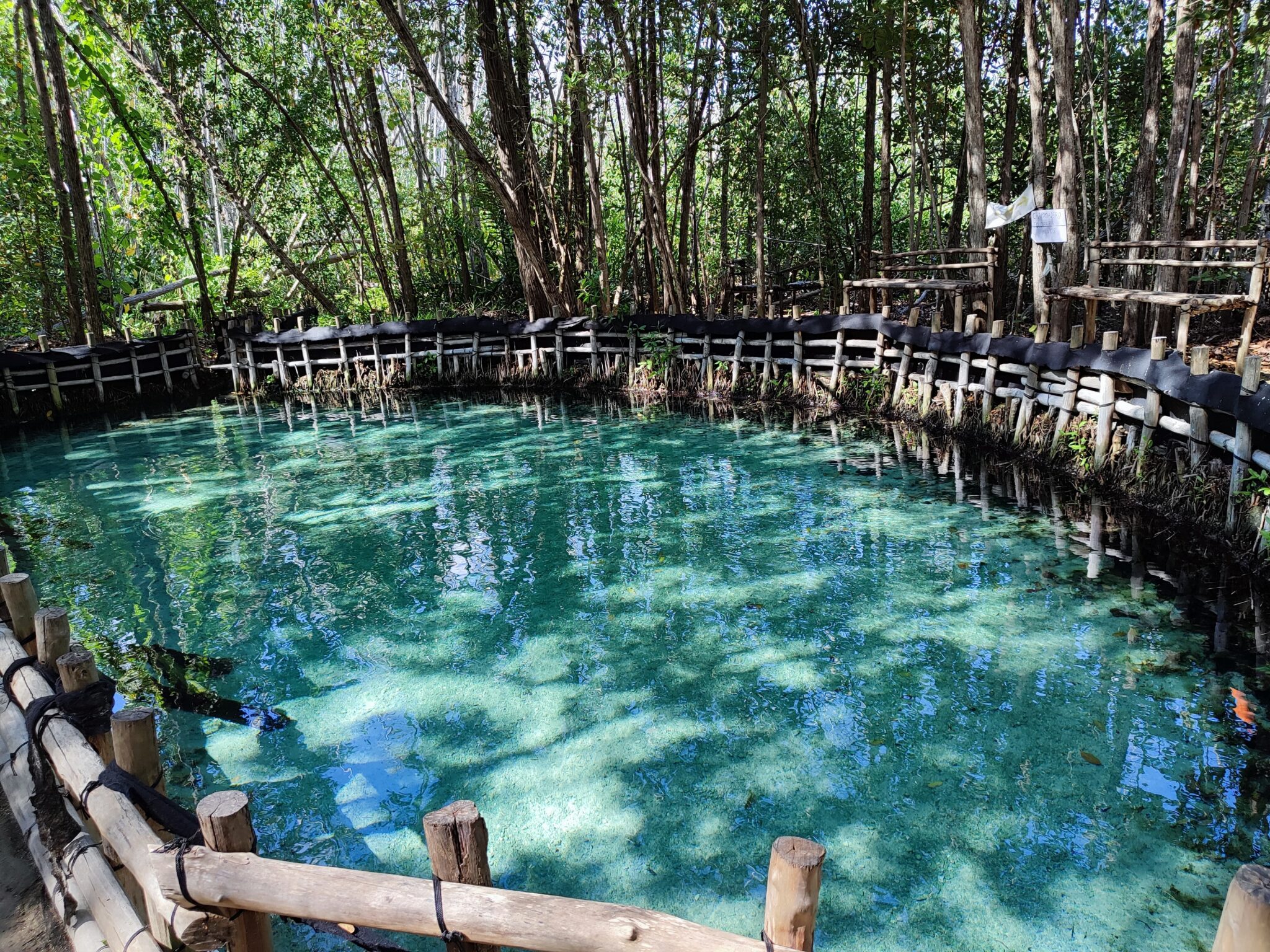 Puerto Progreso Cruise Port Discovering Yucatan Peninsula