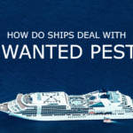 How Do Ships Deal With Unwanted Pests? 
