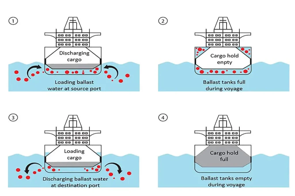Diagram of The Use of Ballast Water in Cargo Operations