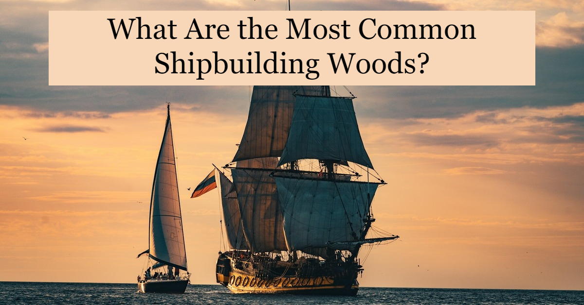 What Are the Most Common Shipbuilding Woods?