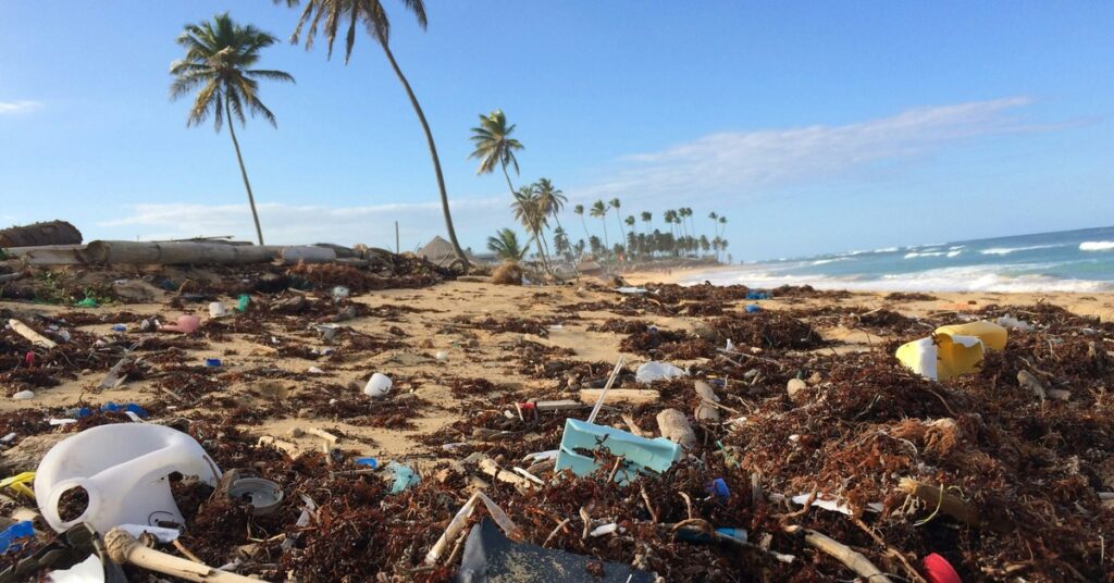 a heavily polluted beach